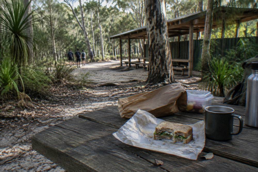 A picnic lunch laid out on a wooden table beside a tour vehicle in shaded forest