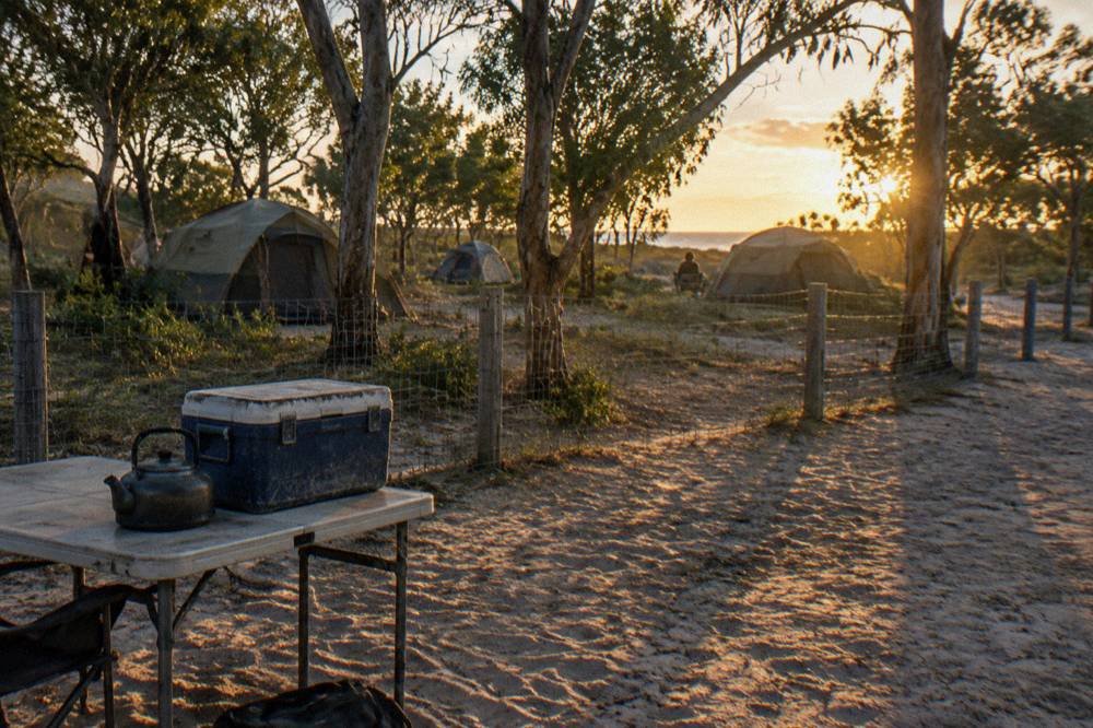 Tents set among trees at a fenced island campground