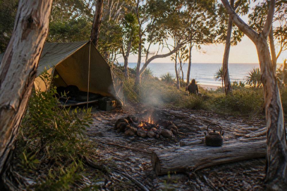 Campsite among trees near a calm ocean beach at golden hour