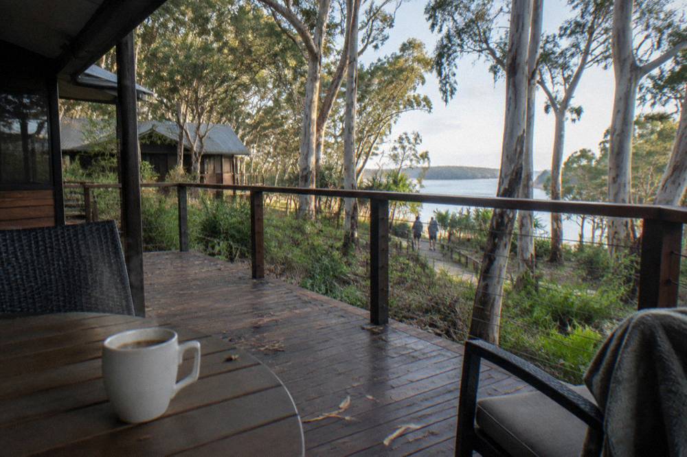 A timber resort lodge deck surrounded by tall eucalypt forest on a sand island