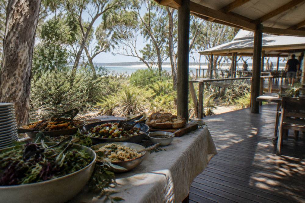 Buffet lunch set out on a table under a shaded shelter at an island resort