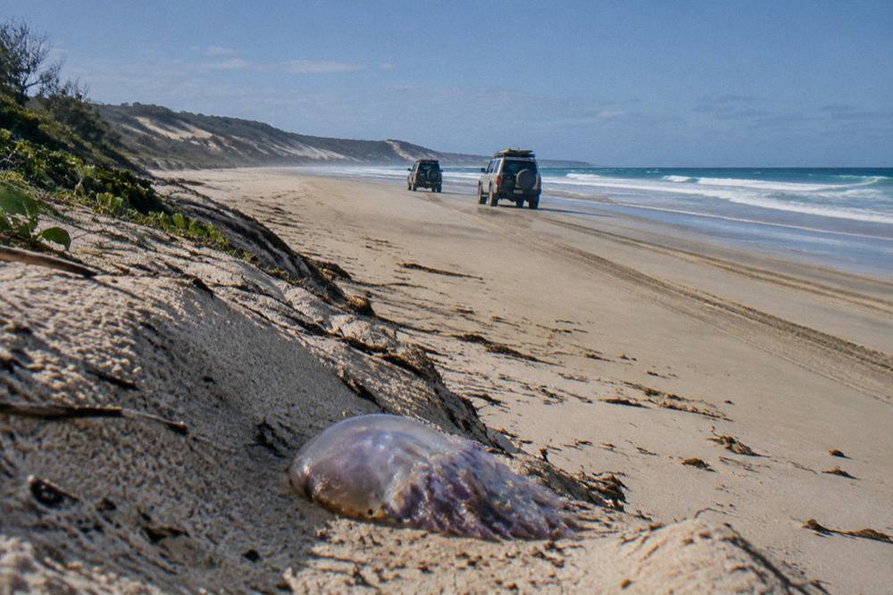 Four wheel drive vehicles travelling along a wide sand beach at low tide