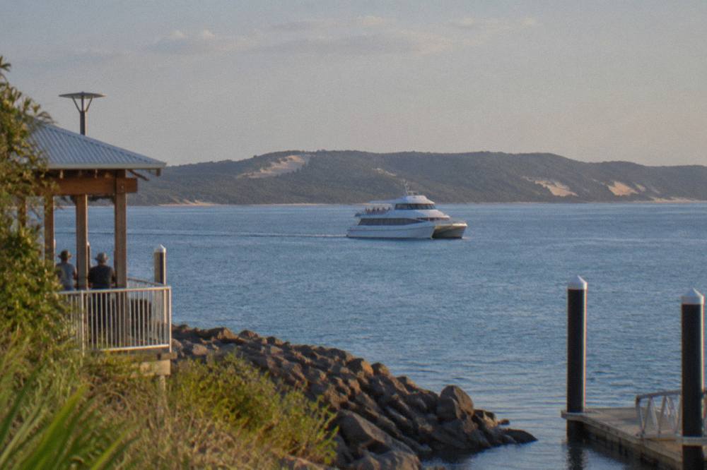 A whale watching catamaran cruising on calm blue bay water with a forested island in the distance