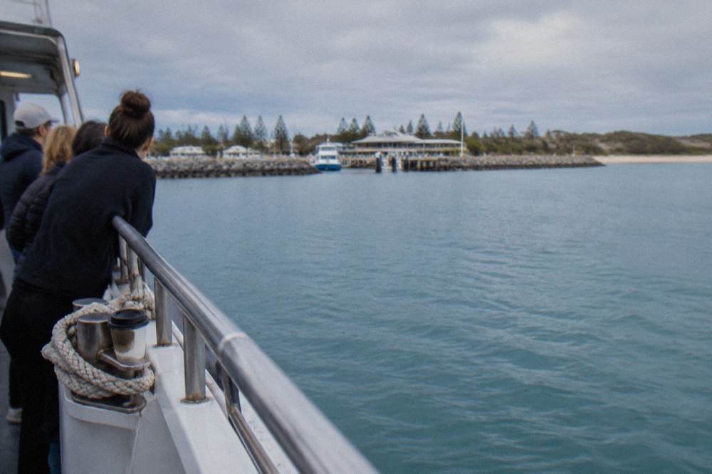 A whale watching boat holding position on calm water while passengers watch from the deck rail