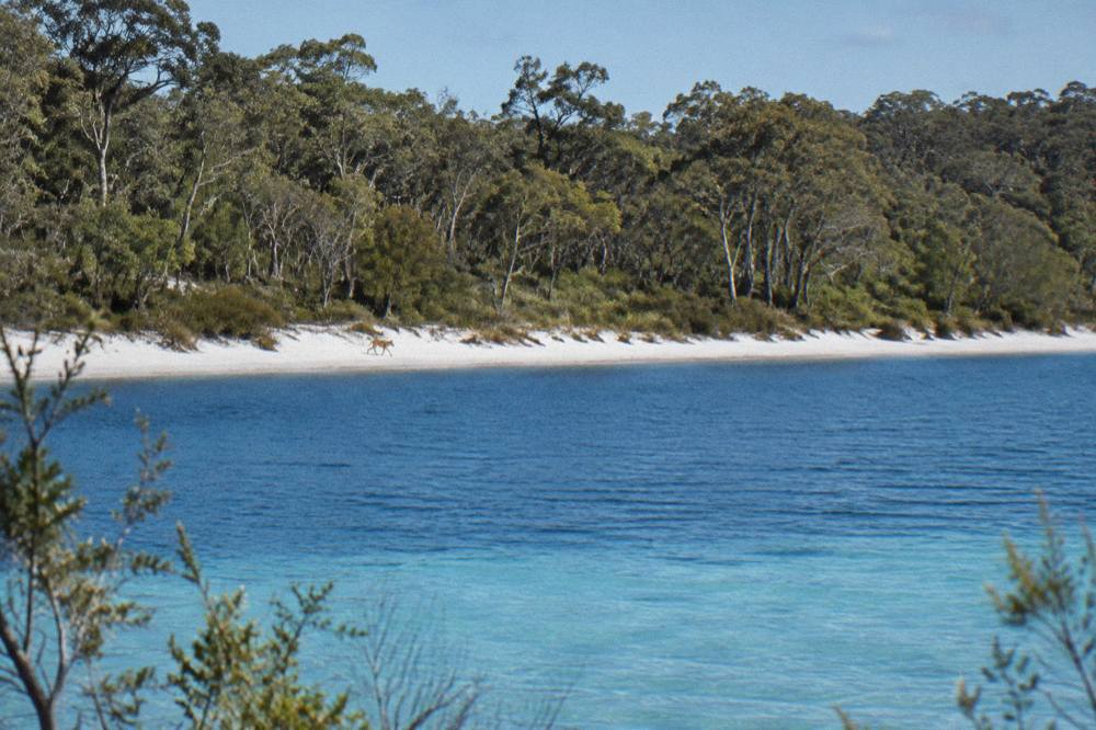 Clear blue freshwater lake ringed by white sand in a forested sand island
