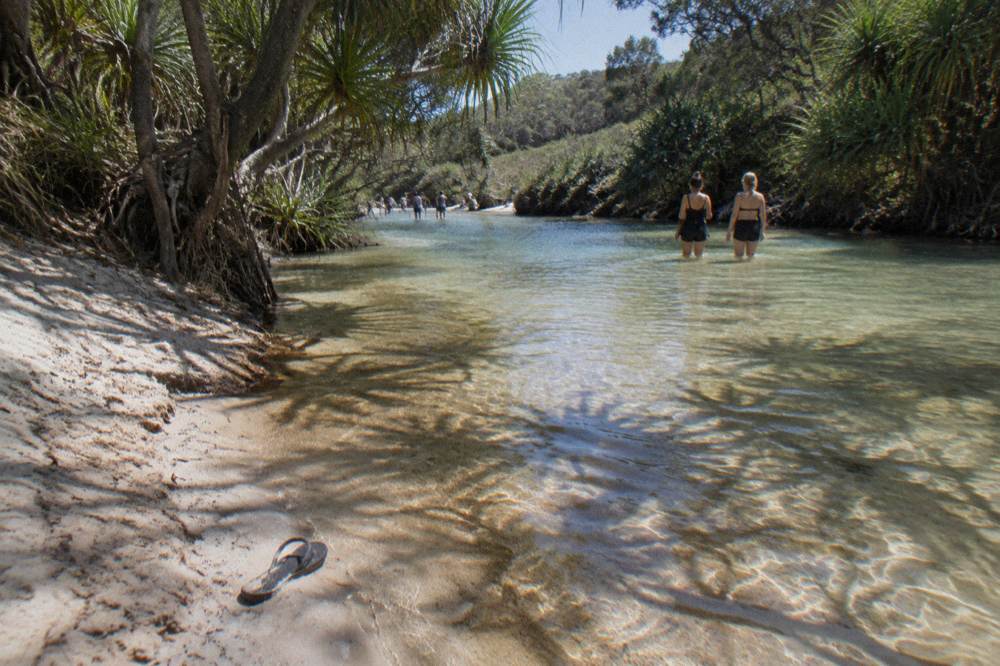 People wading in shallow clear creek water beside a sandy bank