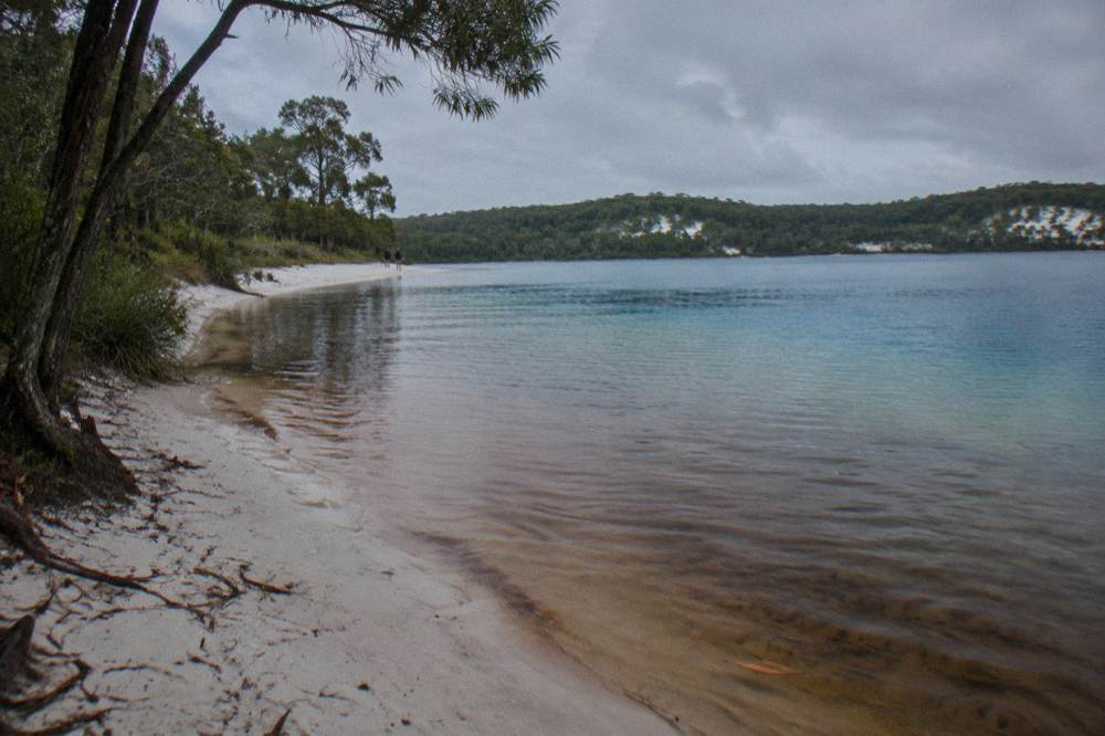 A blue lake under a partly cloudy sky with white sand beach and surrounding eucalypt forest