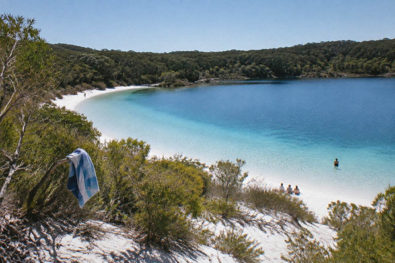 A calm freshwater lake with pale white sand ringed by green forest under a clear sky