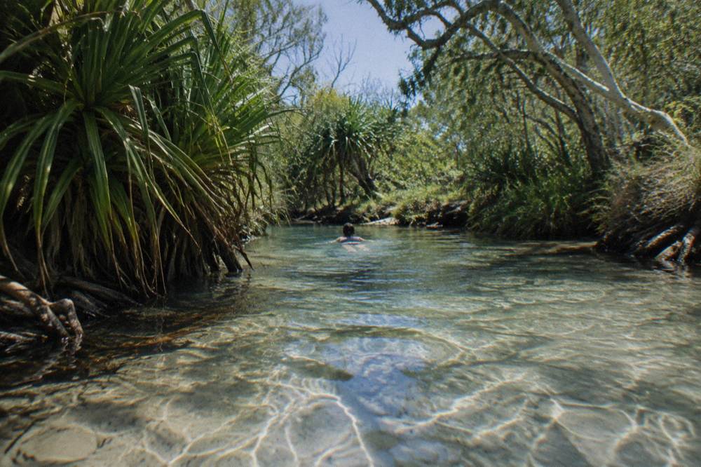 Shallow clear creek water flowing over pale sand between banks of trees