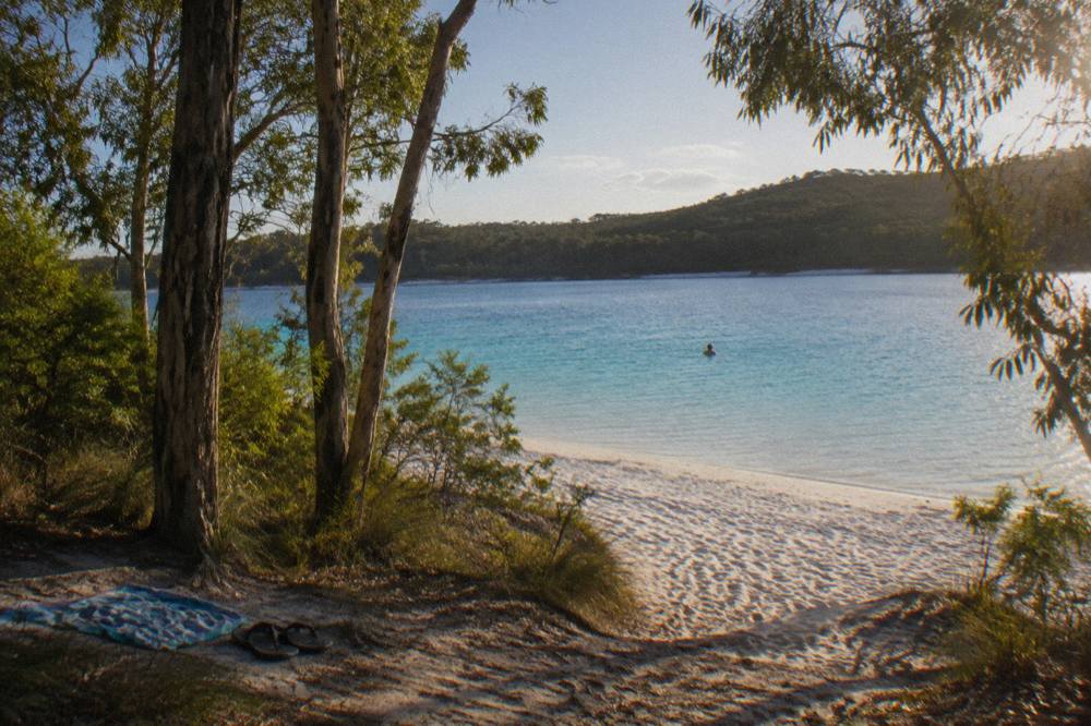A turquoise freshwater lake ringed by white sand and tall eucalypt forest in late afternoon light