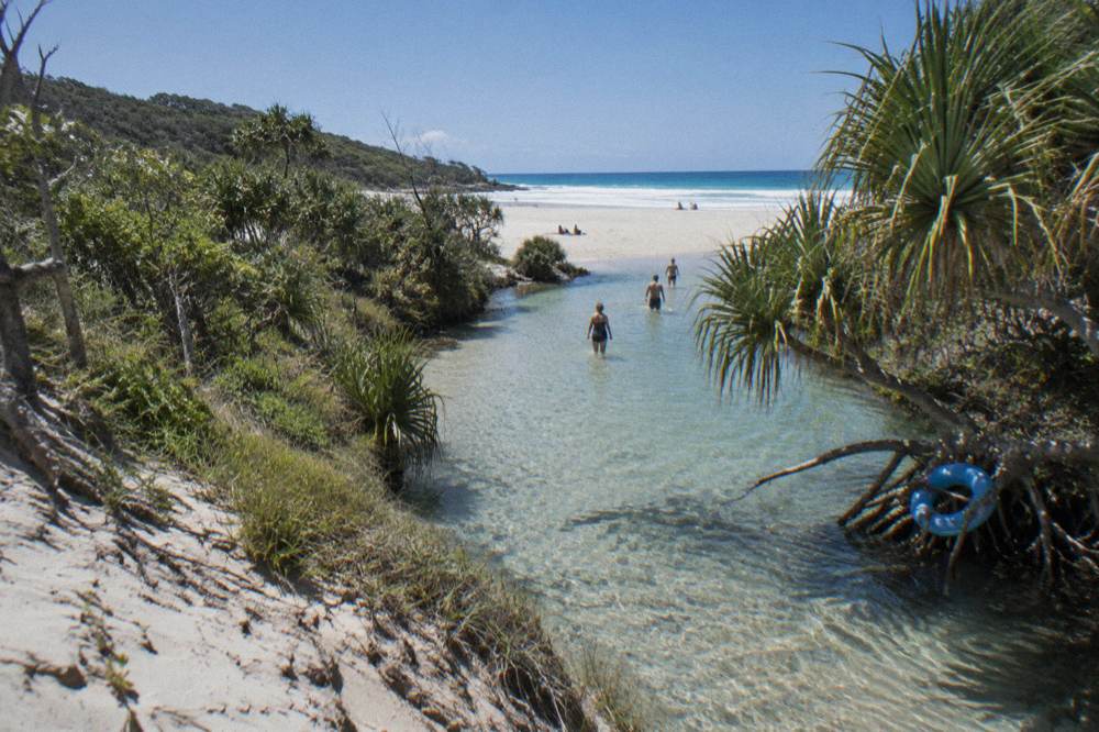 A calm freshwater creek flowing over pale sand into the ocean beach under a clear sky