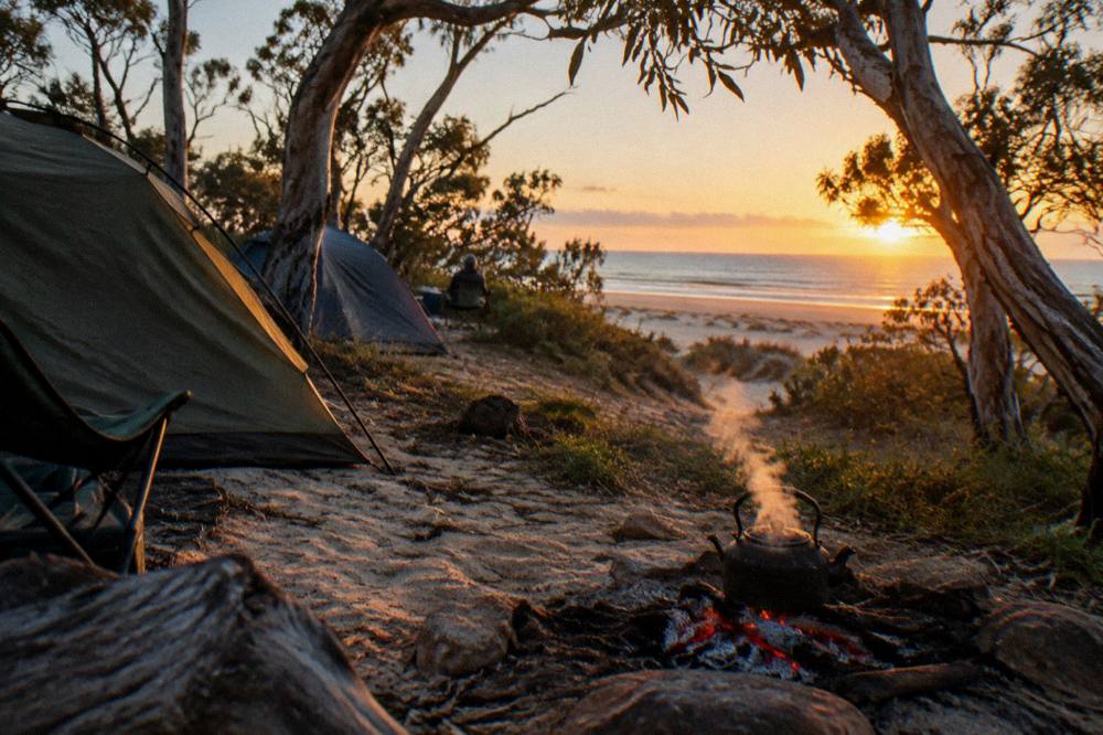 A campsite with tents among trees near a beach at sunrise with golden light on the sand