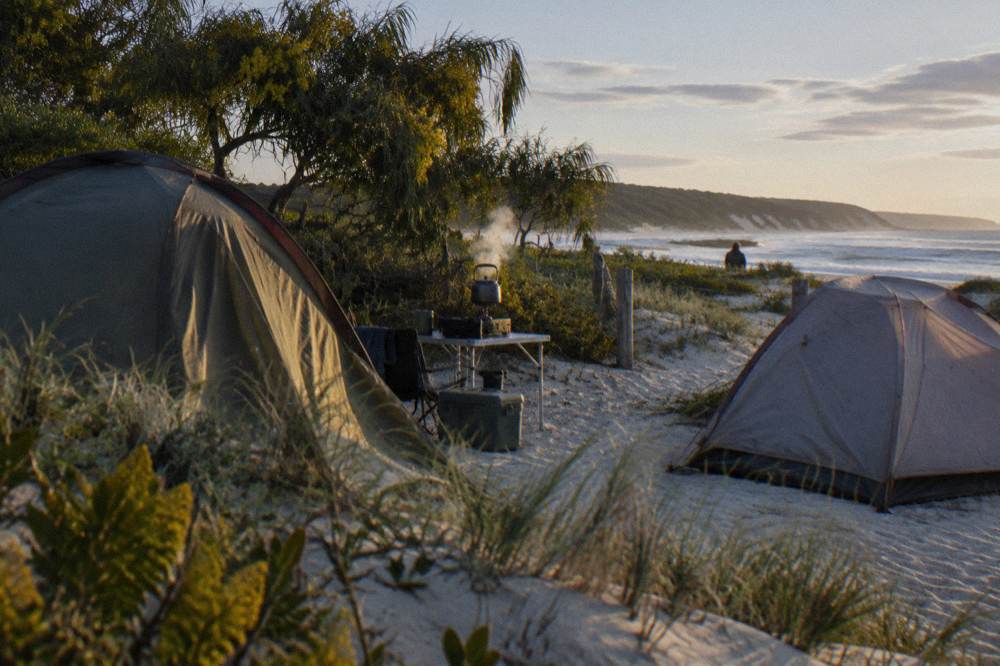 Tents and a 4WD parked on sand behind a low dune at a beach campsite