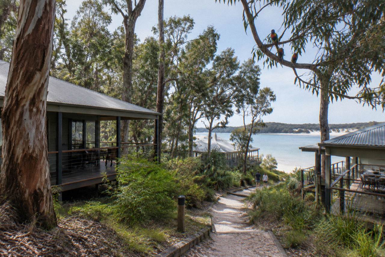 Timber resort buildings set among trees beside a calm sandy bay