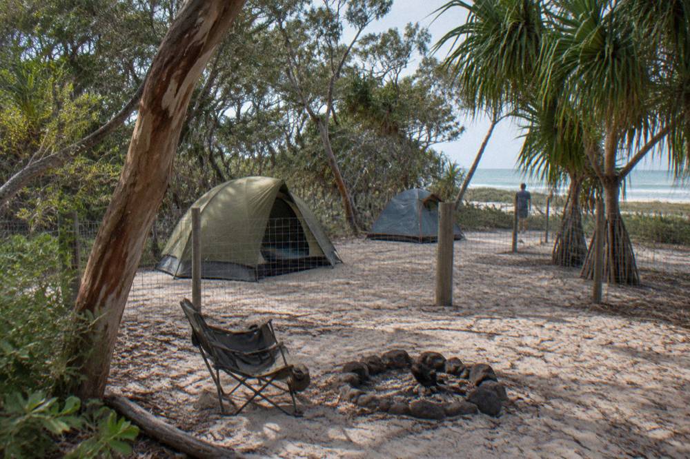 Tents pitched inside a fenced campground surrounded by coastal trees