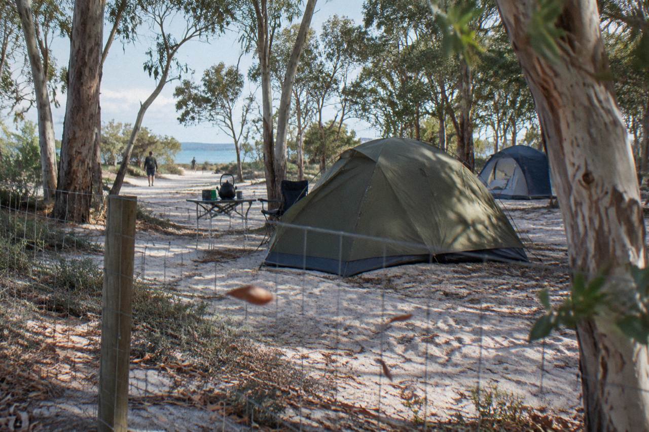 Sandy campground with tents set up among trees near a beach on a large sand island