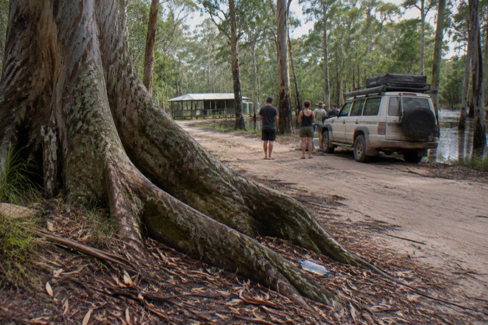 A small group of guests standing beside a four wheel drive vehicle on a sandy track surrounded by tall eucalypt forest