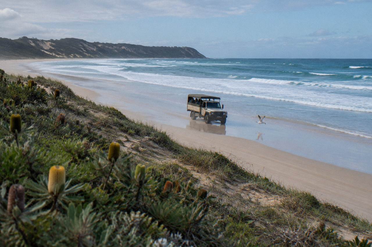 A four wheel drive tour vehicle travelling along a wide sandy beach on K'gari with the ocean on one side and green dunes on the other