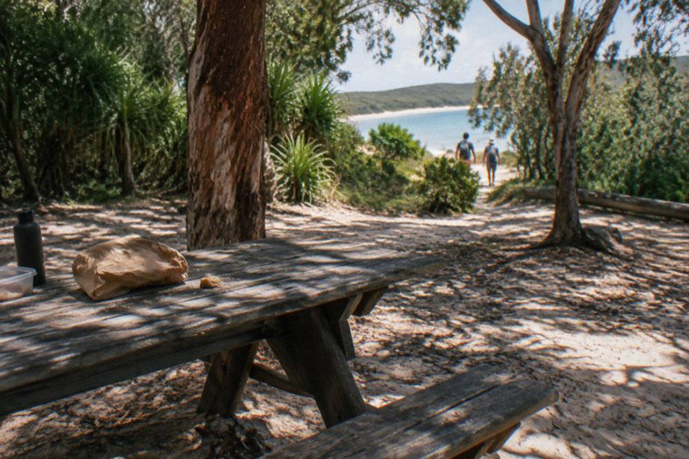 A picnic table and open sandy clearing at a K'gari day-use area