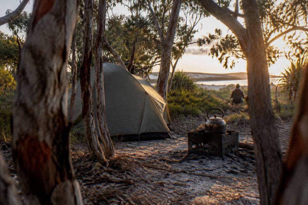 A tent pitched among trees at a bush campground