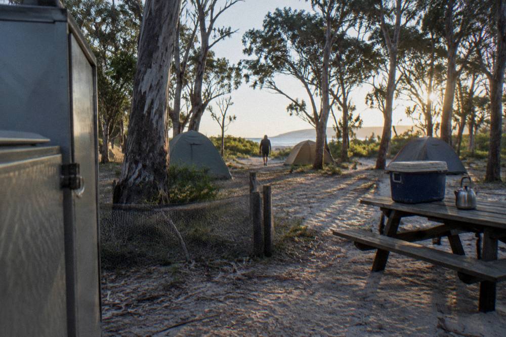 A sandy campground with tents among trees and a food storage locker beside a picnic table