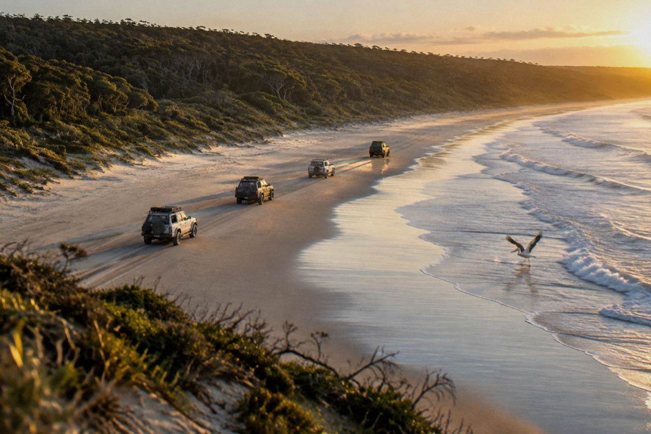 A convoy of four wheel drive vehicles travelling along a broad sand beach with forest behind