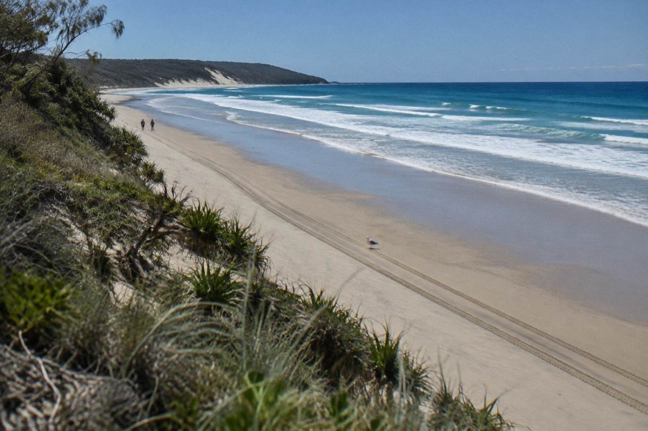 Four wheel drive tracks along a wide sand beach at low tide with firm wet sand near the waterline