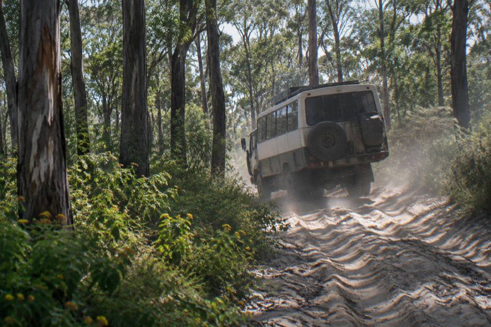 A large four wheel drive coach on a sandy inland track through tall eucalypt forest