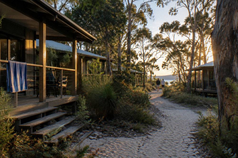 Timber resort accommodation beside a sandy track surrounded by tall trees
