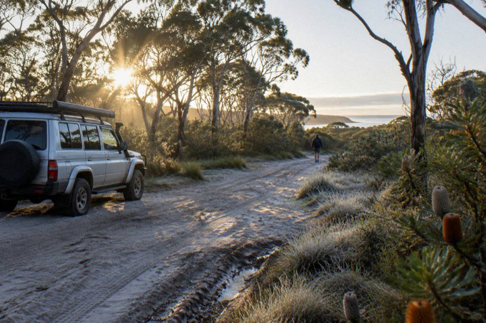 A four wheel drive vehicle on a sand track through coastal woodland in morning light