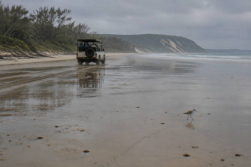 A four wheel drive tour vehicle driving along a firm wet sand beach at low tide