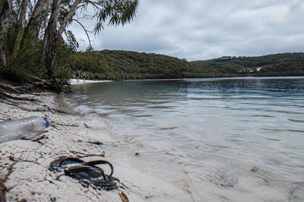 A clear freshwater lake with white sand shore surrounded by tall trees