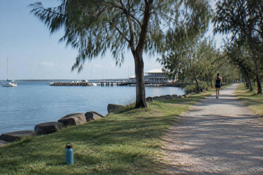 Coastal walking path along a calm bay with green parkland and scattered trees