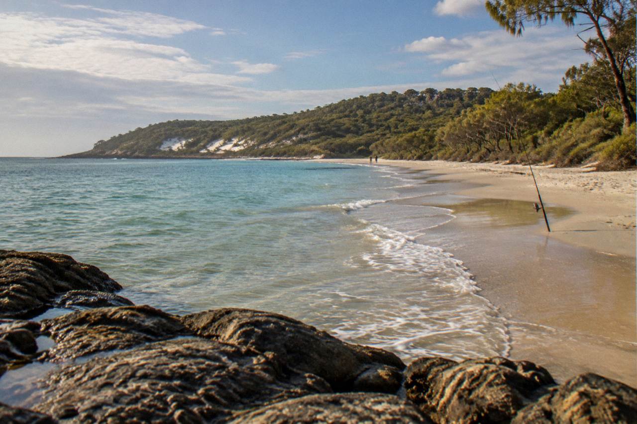 Calm sandy beach shoreline with clear shallow water and distant tree covered headland