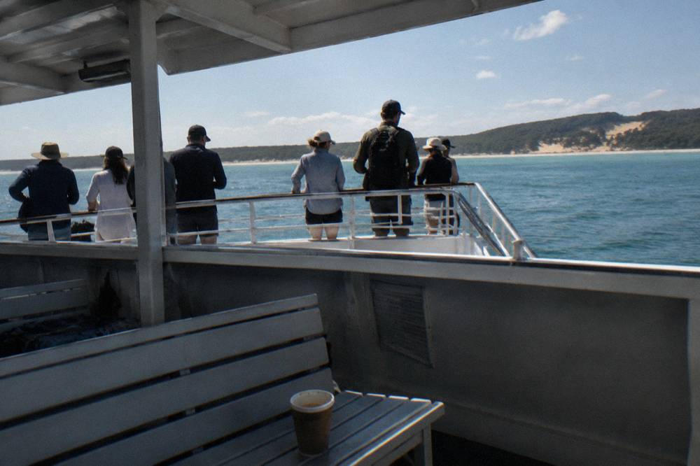 Passengers on the upper deck of a whale watching catamaran watching open water