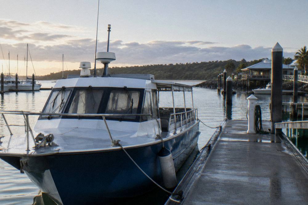 A whale watching boat moored at a marina in the early morning light