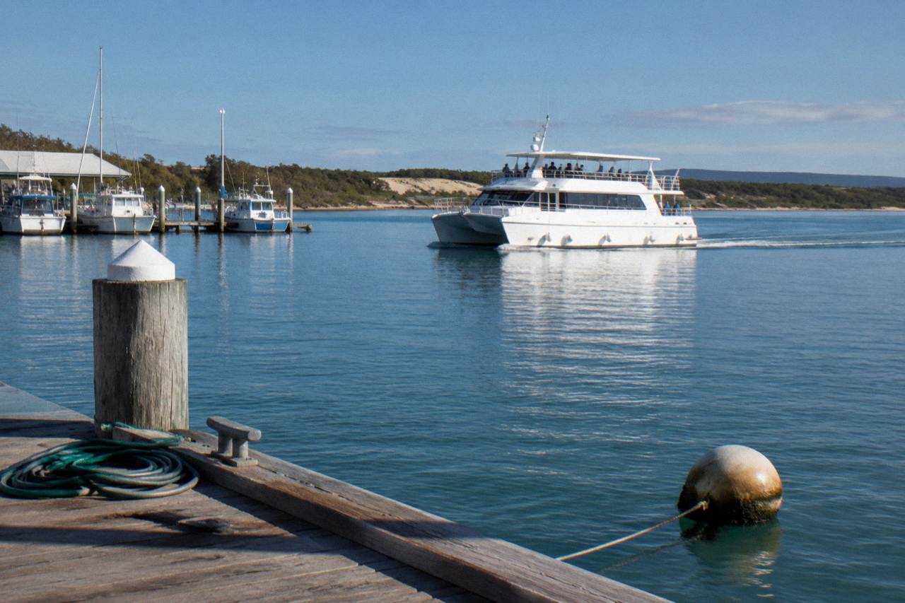A whale watching catamaran cruising calm blue water near the Hervey Bay shoreline