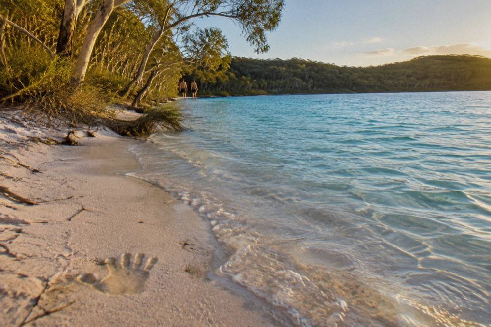 Clear turquoise water washing onto a white silica sand beach fringed by trees