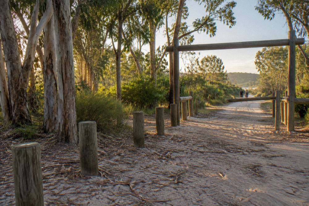 Sign at a national park entrance surrounded by trees and sandy ground
