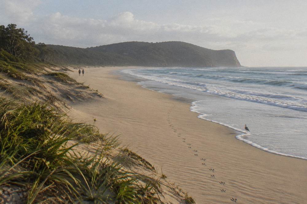 Long empty beach curving toward distant headland under a wide sky