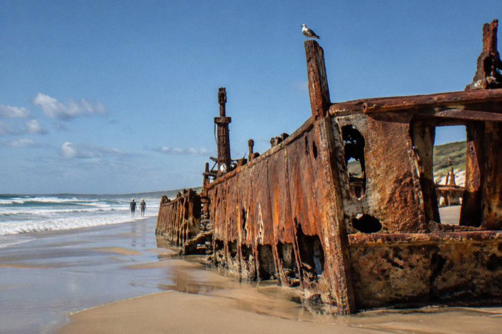 A rusted shipwreck resting on a wide sandy ocean beach under a clear sky