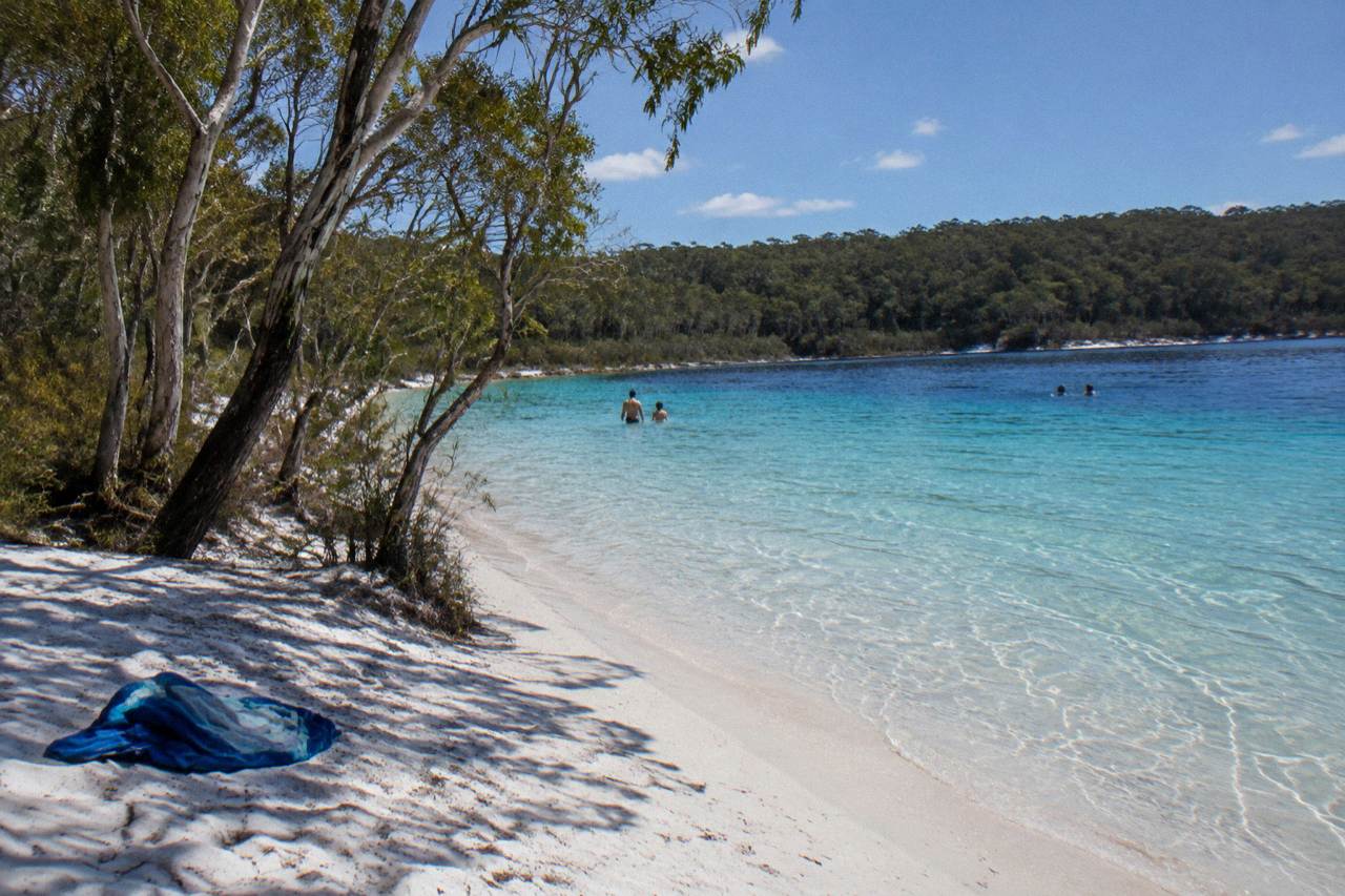 Clear turquoise water lapping the white silica sand shore of a freshwater lake on K'gari